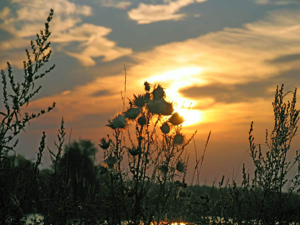 Якуб Колас — Новая зямля