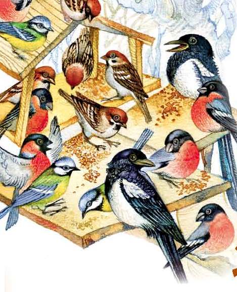 Veselka_1-24_000_curves_Page_04