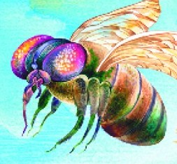 Уладзімір СКАРЫНКІН