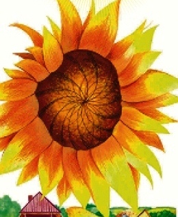 ЯНКА І СЛАНЕЧНІК Наталля Гарбачова