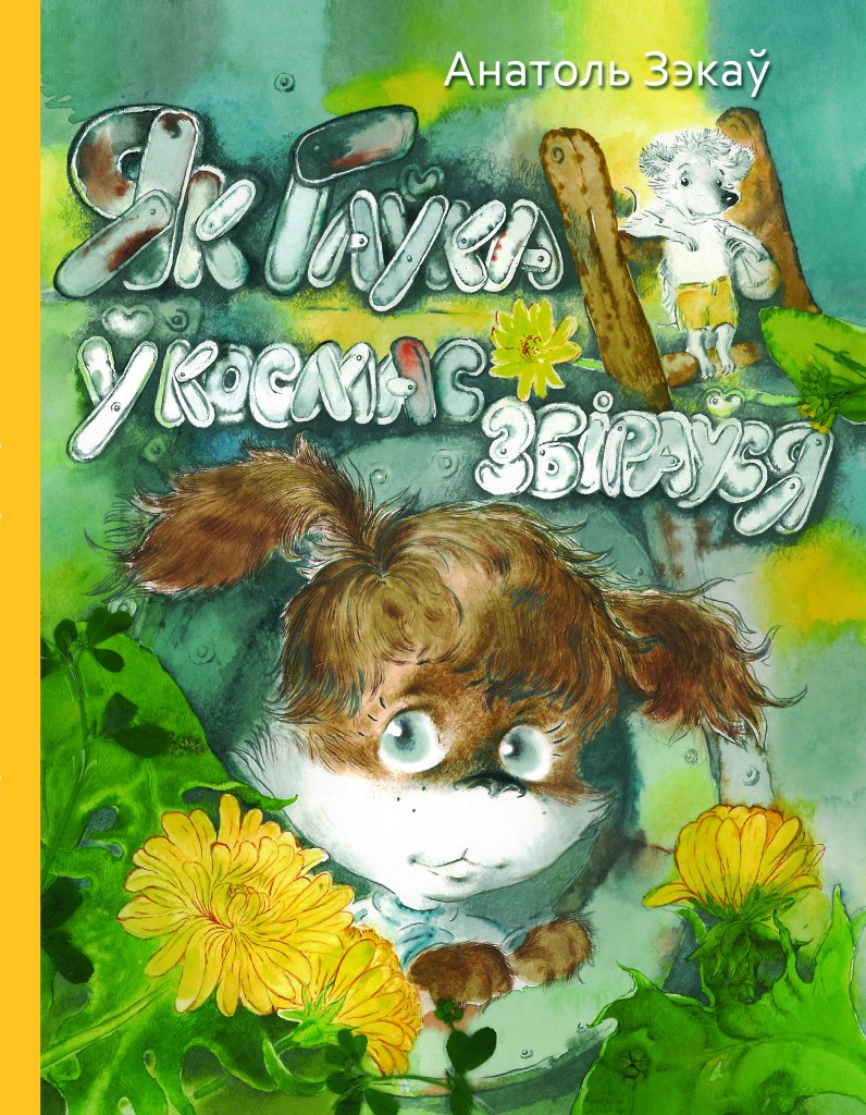 Крышку пра кніжку