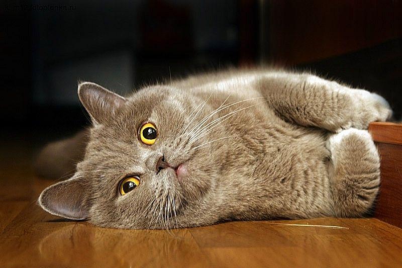 Любоў Сівурава — вершы з кніжкі «Драпата» (працяг)