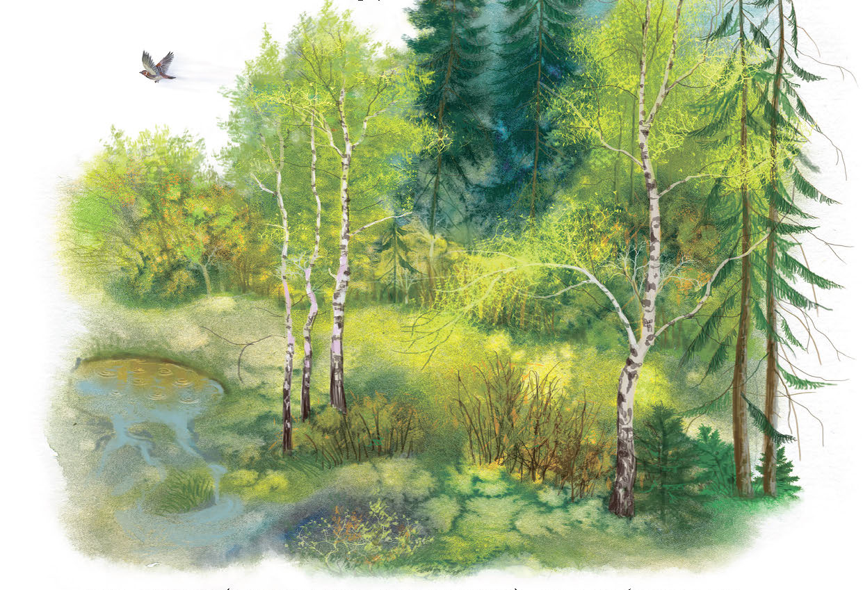 Прамень мільгнуў…