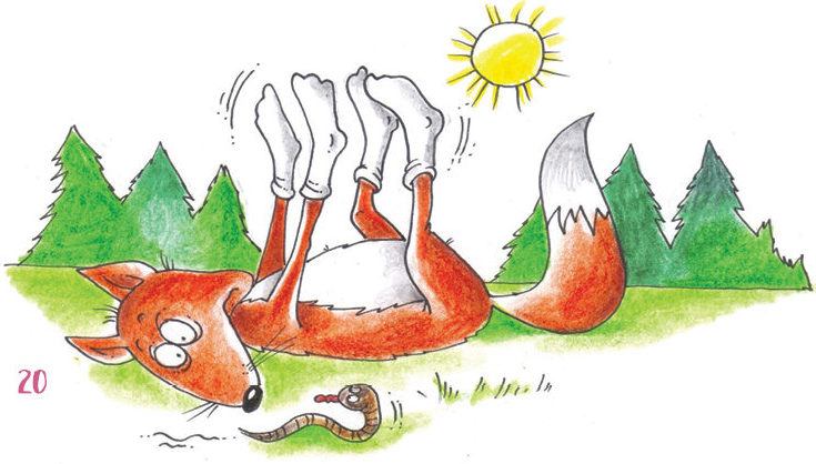 Лисіныя лапы